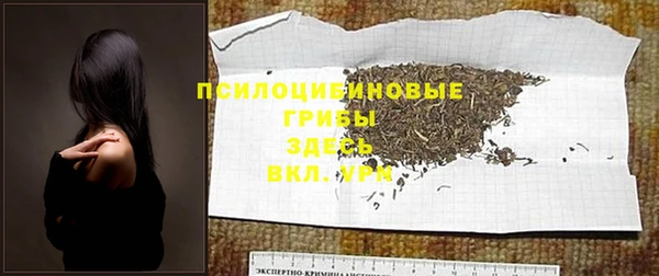 spice Баксан
