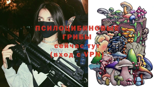 прущие крисы Балахна