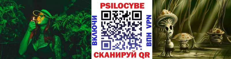 Галлюциногенные грибы Psilocybe  Верхний Тагил 